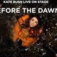 Illustration for article titled Kate Bush announces her first live shows in 35 years